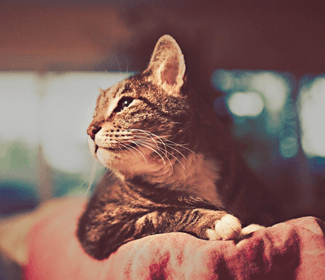 學(xué)習(xí)CAD！每天五個(gè)小技巧！這個(gè)系列趕快收藏！